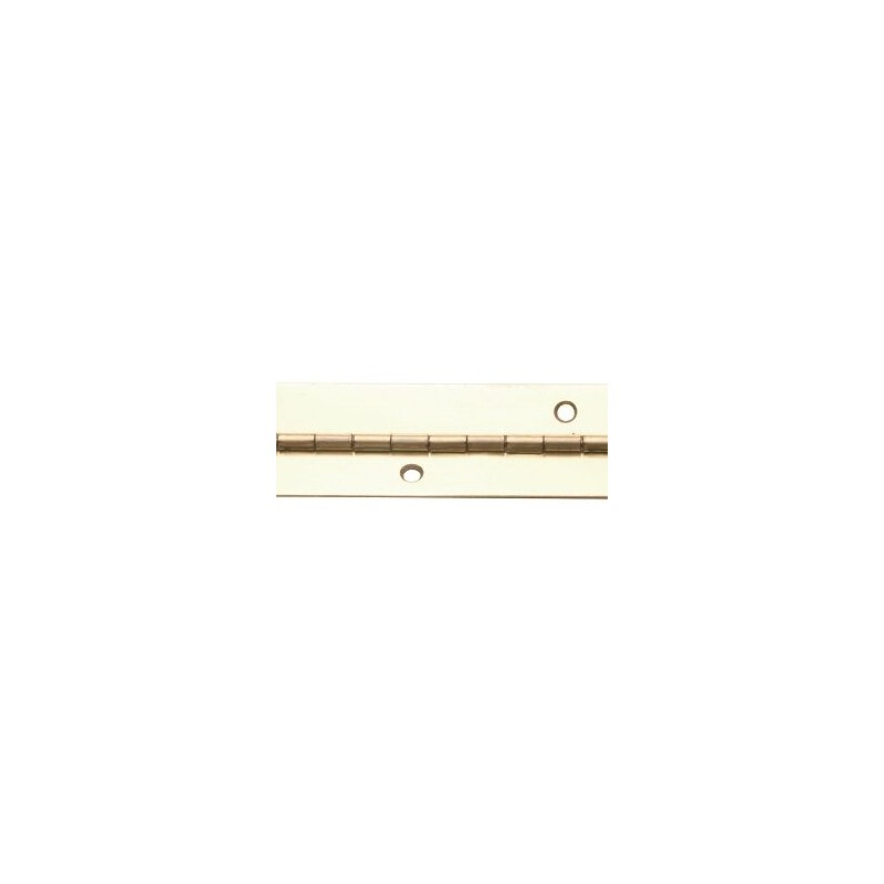 079-3504        Bisagra de Piano Latonada 50mm * 2mts. de Largo